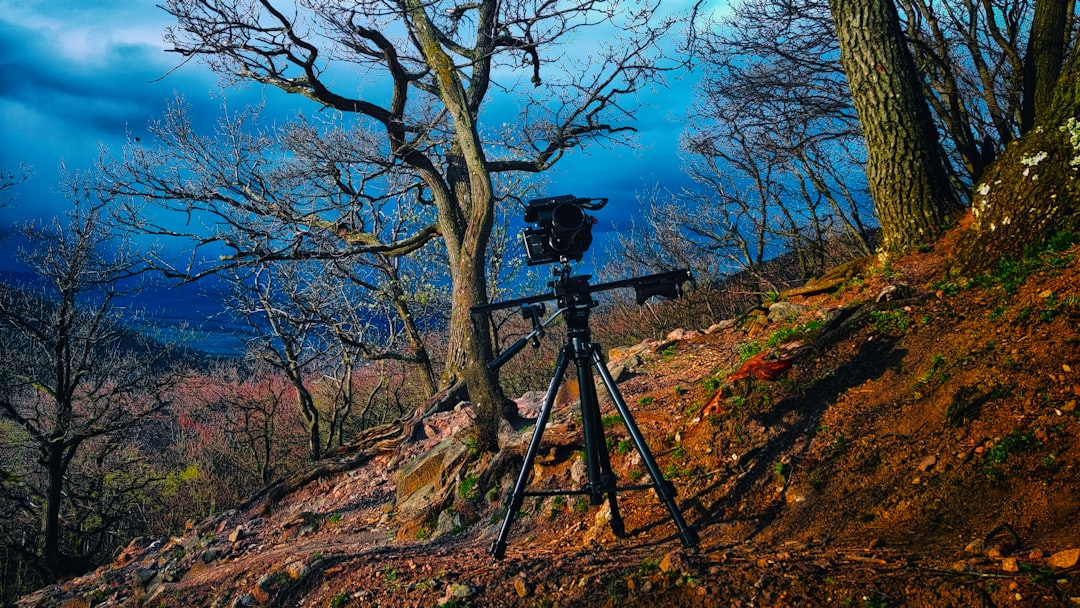 best camera tripod on a mountain overlook at sunrise, showing stability and portability