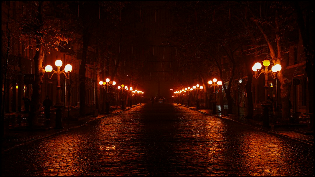Cover illustration for low light street photography with neon reflections and a silhouetted photographer